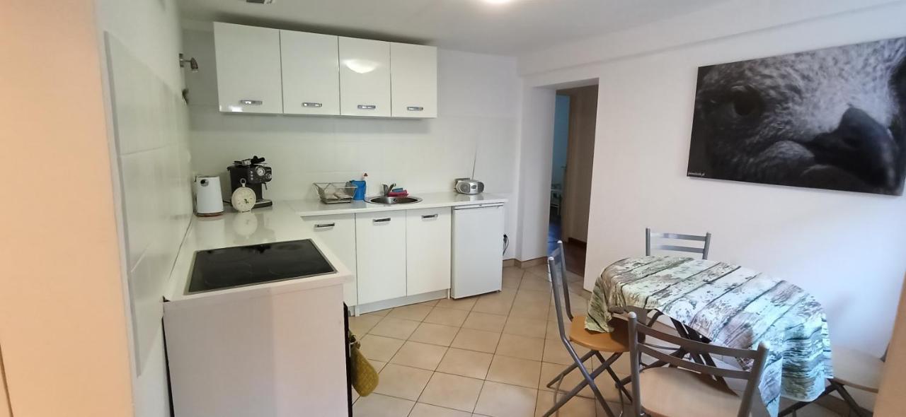 Apartament U Sikorek Jelenia Góra Екстериор снимка
